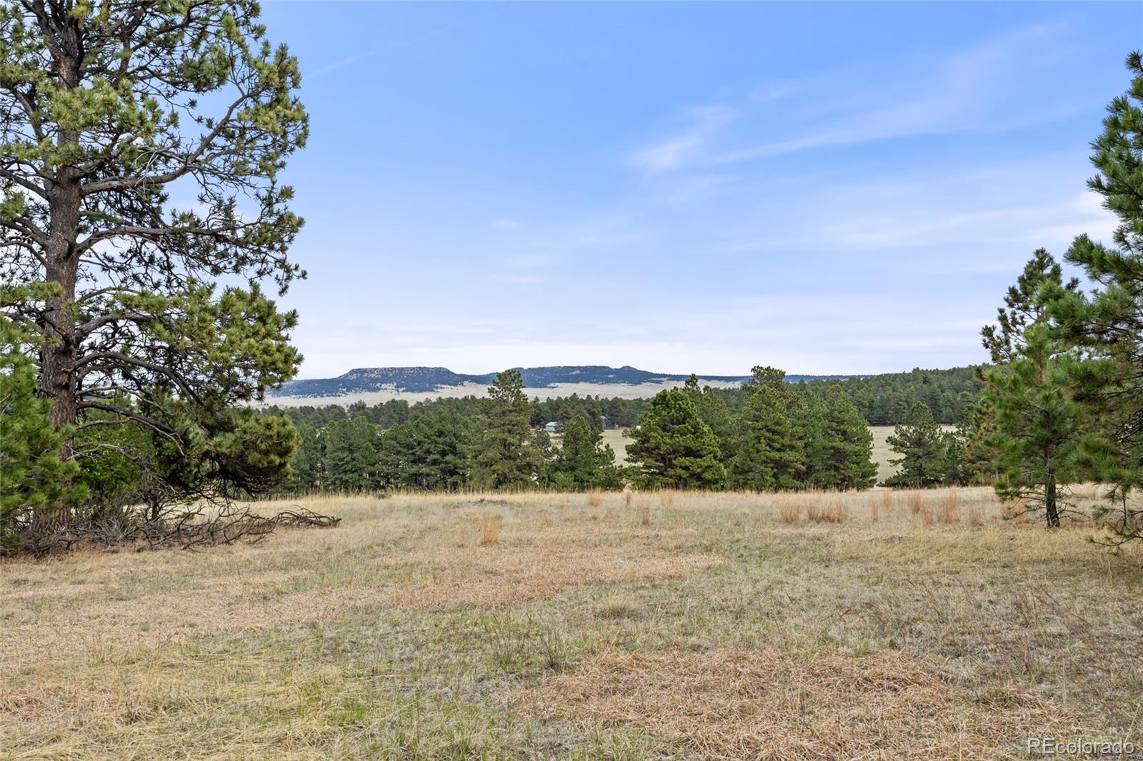 8653 N Teacup Road Elbert CO 80106