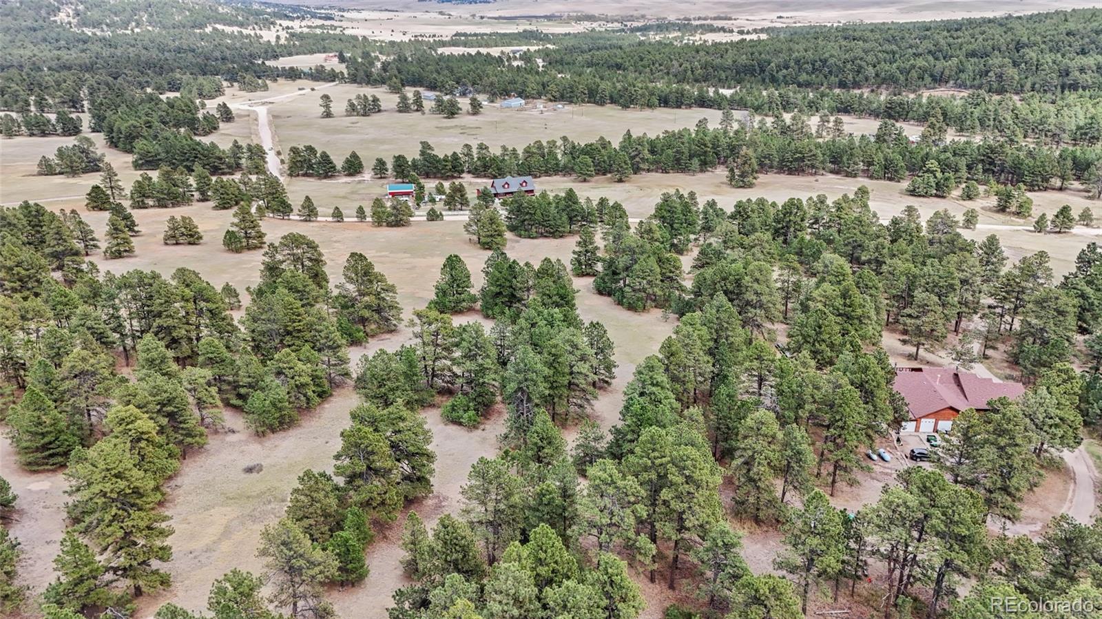 8653 N Teacup Road Elbert CO 80106