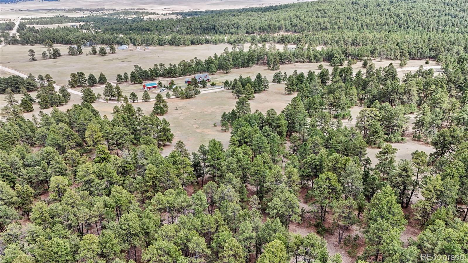 8653 N Teacup Road Elbert CO 80106