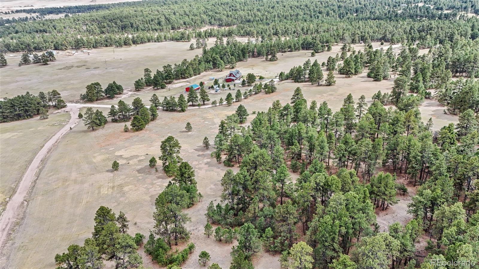 8653 N Teacup Road Elbert CO 80106