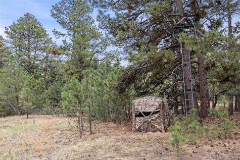 8653 N Teacup Road Elbert CO 80106
