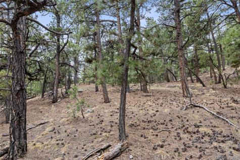 8653 N Teacup Road Elbert CO 80106