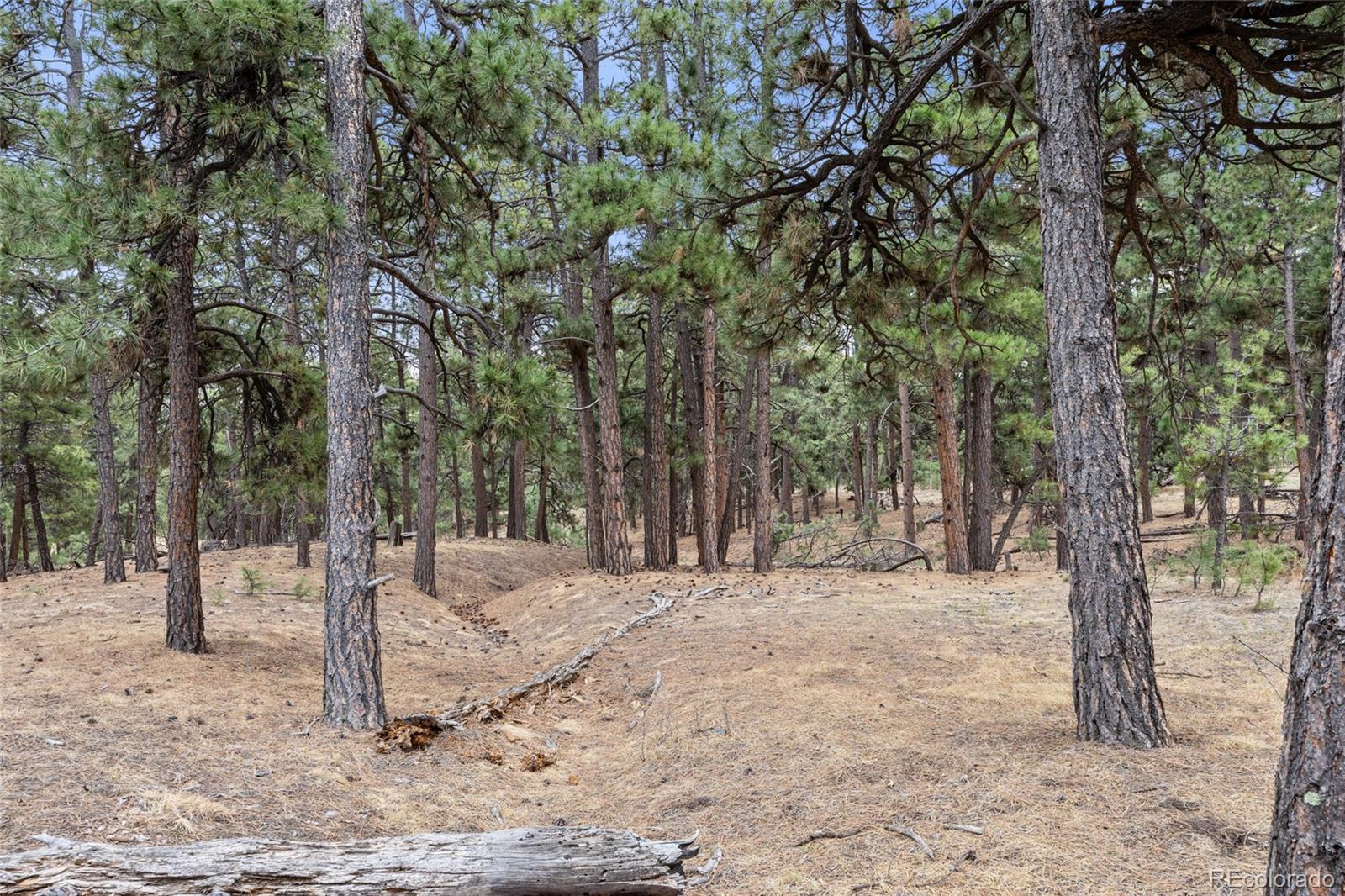 8653 N Teacup Road Elbert CO 80106
