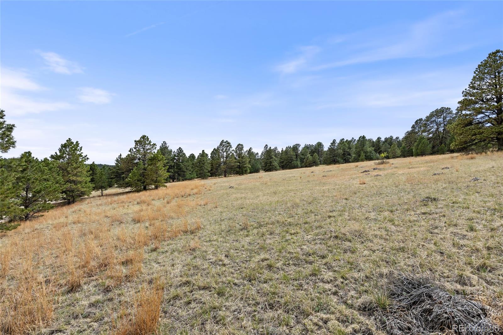 8653 N Teacup Road Elbert CO 80106