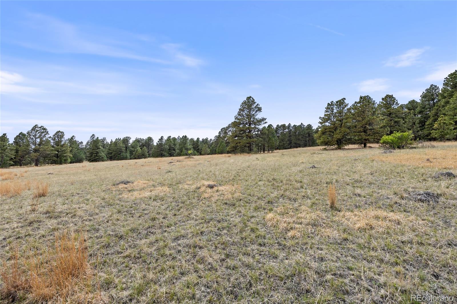 8653 N Teacup Road Elbert CO 80106