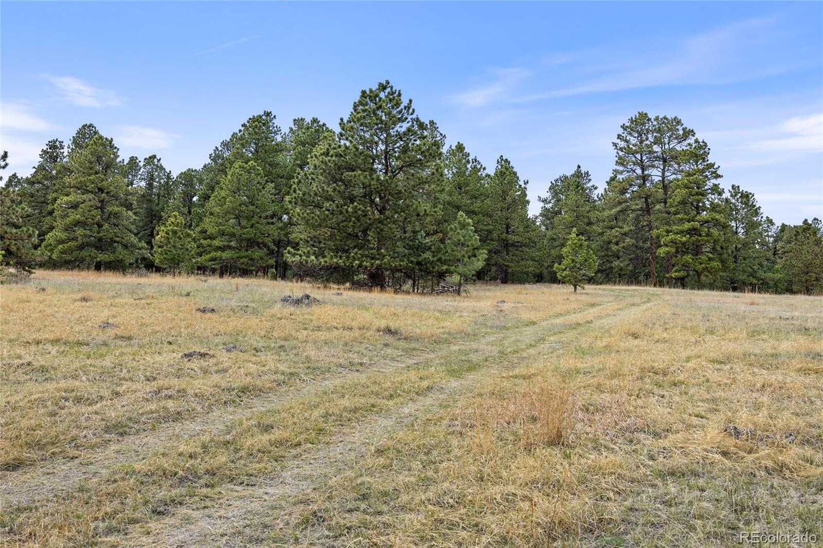 8653 N Teacup Road Elbert CO 80106