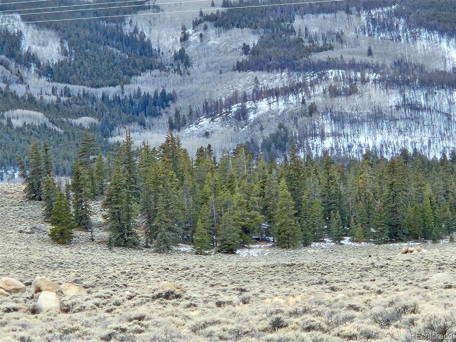 Parcel 11, Tract 11 Twin Lakes CO 81251