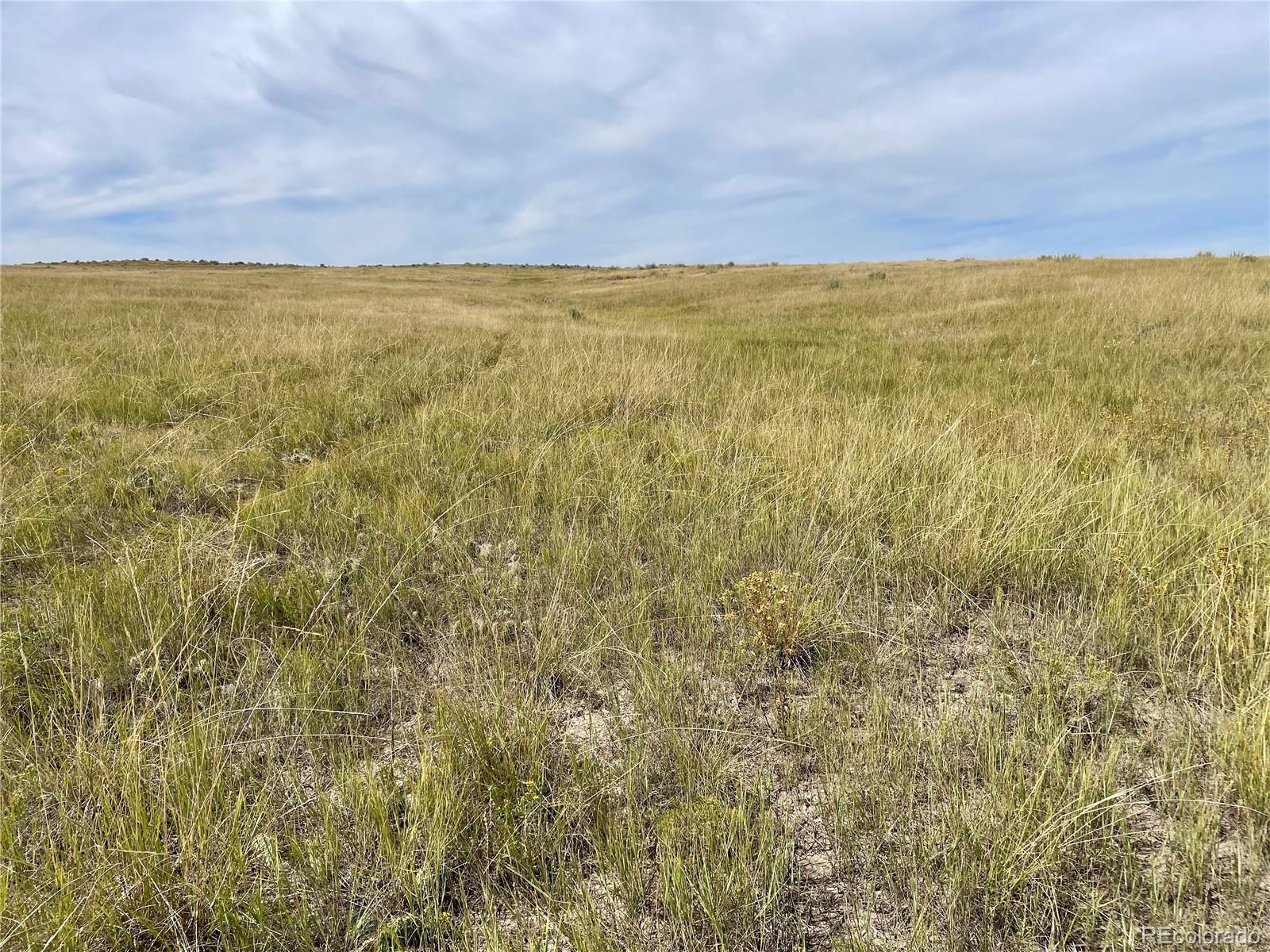 17 County Road 77 Calhan CO 80808