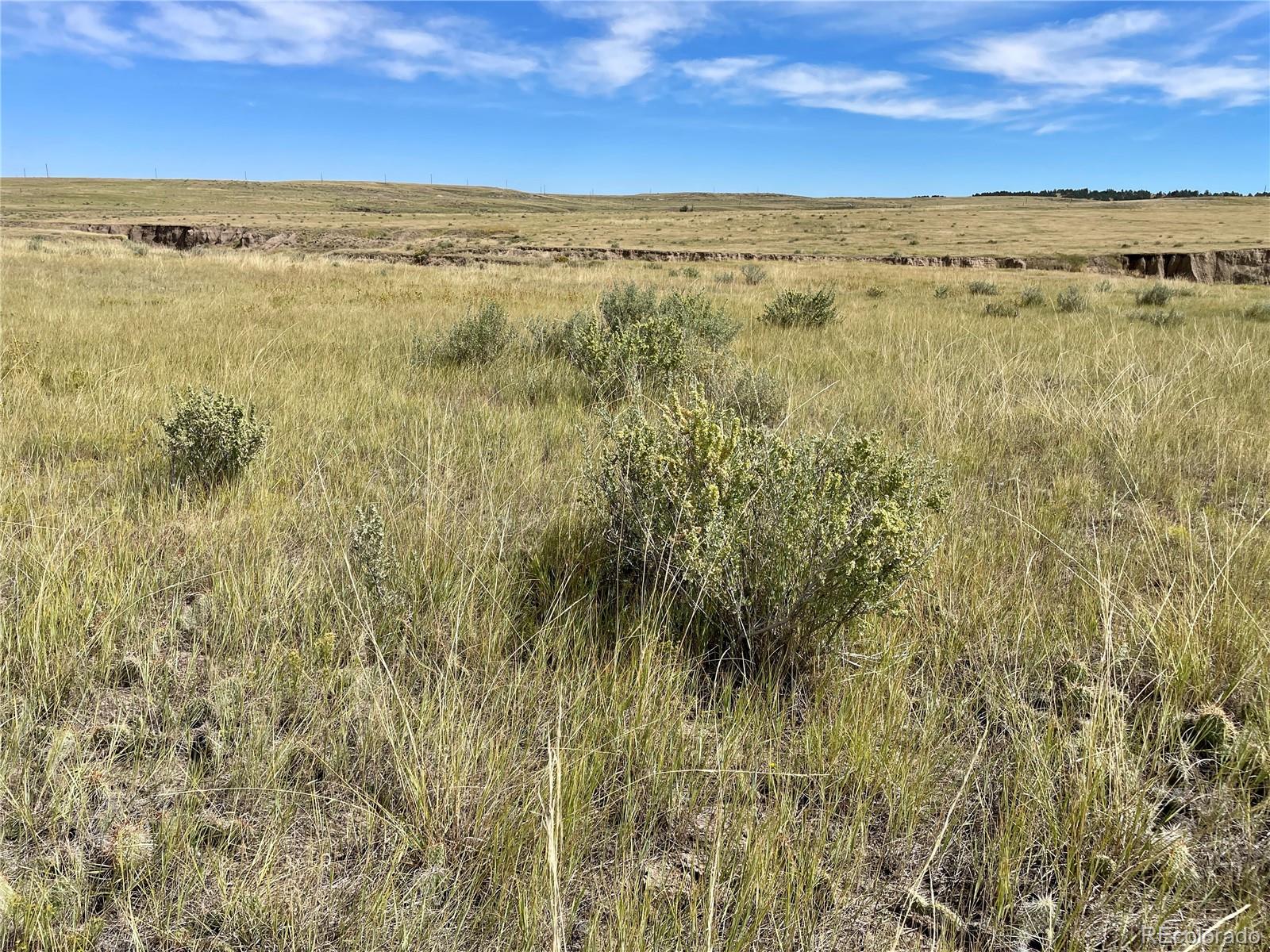 17 County Road 77 Calhan CO 80808
