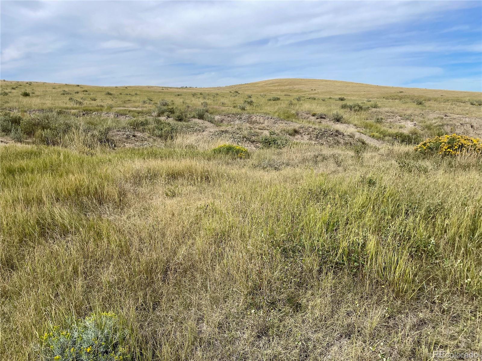 17 County Road 77 Calhan CO 80808