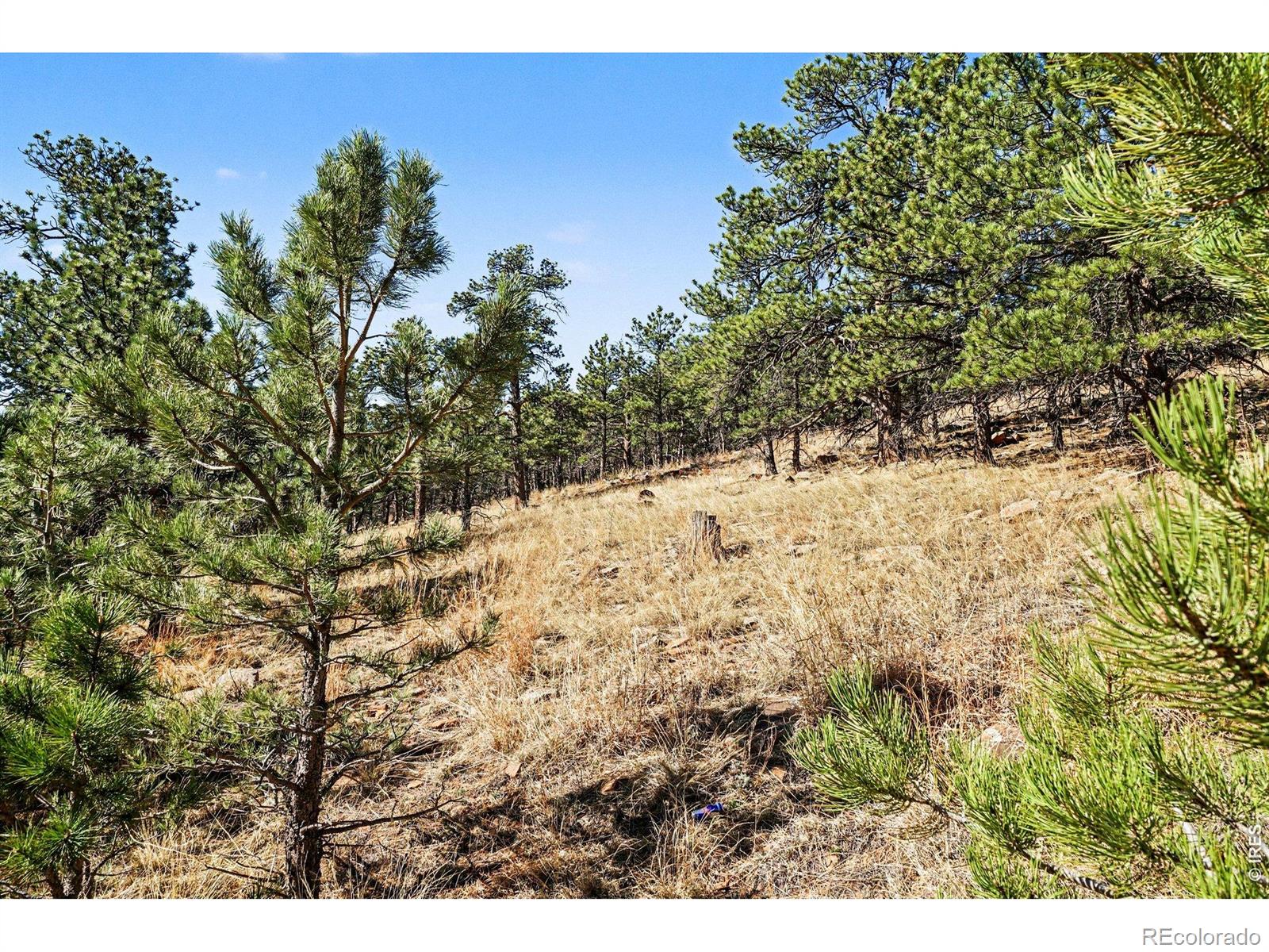 0 Rainbow Lane Loveland CO 80537