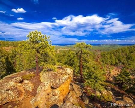 0 Tallberg Lane Conifer CO 80433