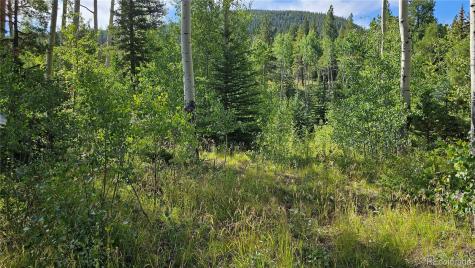 19039 Monarch River Drive Salida CO 81201