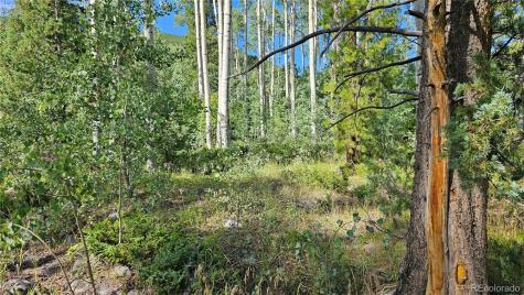 19039 Monarch River Drive Salida CO 81201