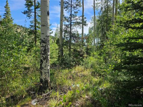 19039 Monarch River Drive Salida CO 81201