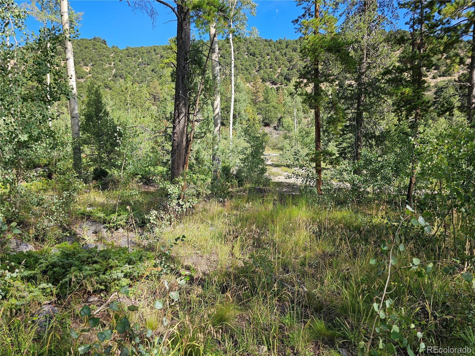 19039 Monarch River Drive Salida CO 81201