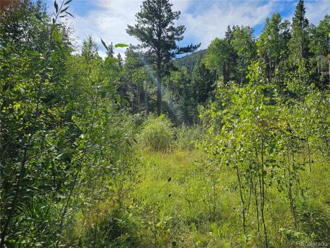19039 Monarch River Drive Salida CO 81201