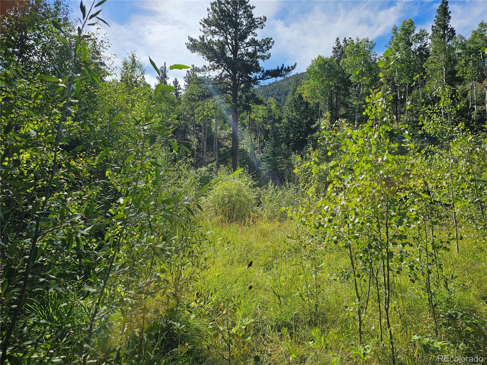 19039 Monarch River Drive Salida CO 81201