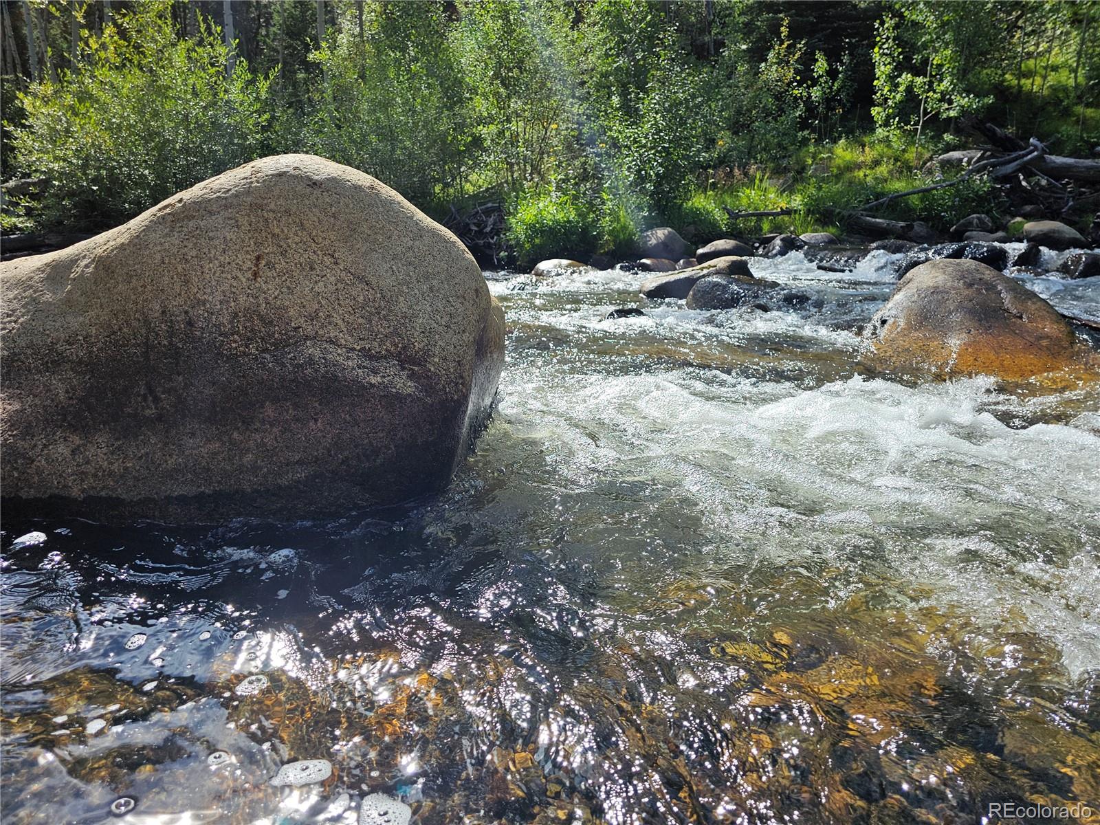 19039 Monarch River Drive Salida CO 81201