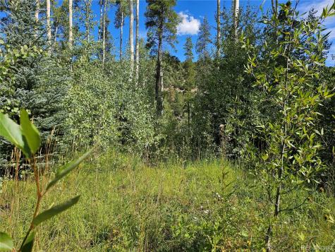 19039 Monarch River Drive Salida CO 81201