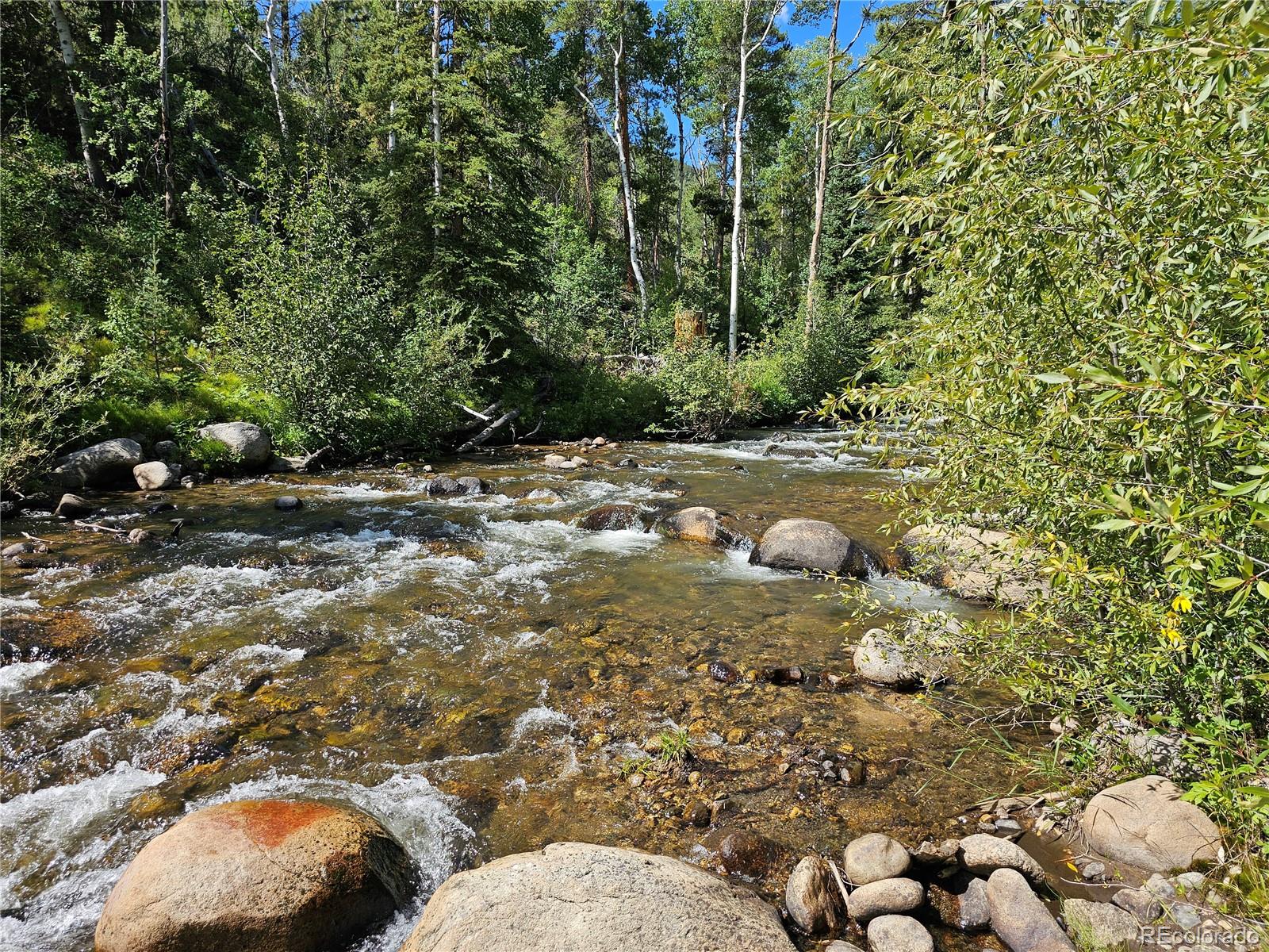 19039 Monarch River Drive Salida CO 81201