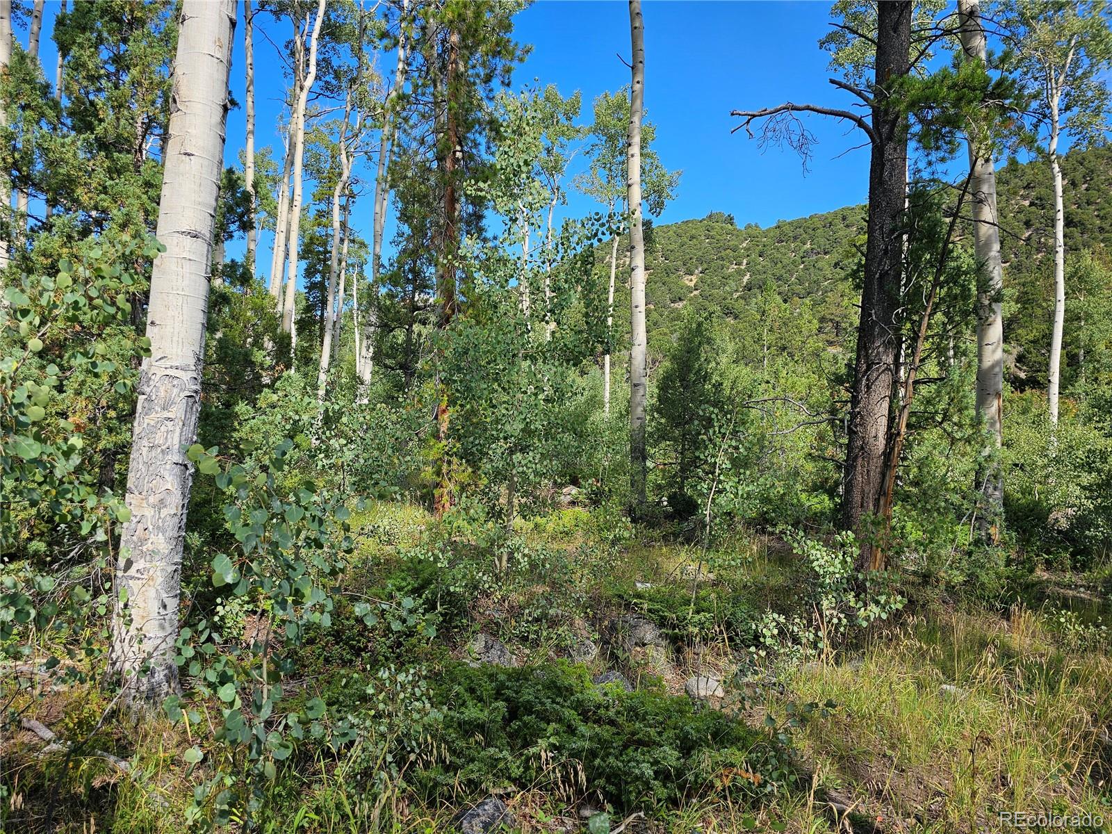 19039 Monarch River Drive Salida CO 81201