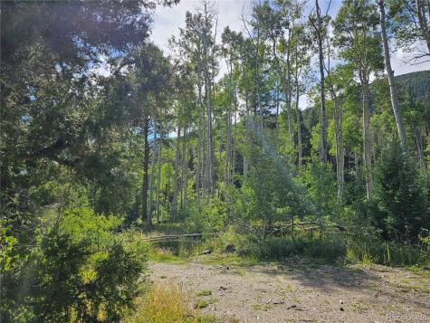 19039 Monarch River Drive Salida CO 81201