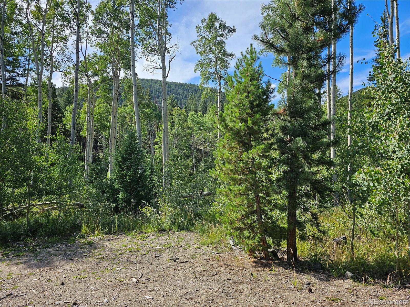 19039 Monarch River Drive Salida CO 81201