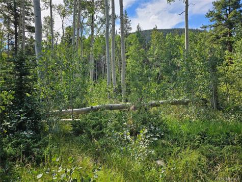 19039 Monarch River Drive Salida CO 81201