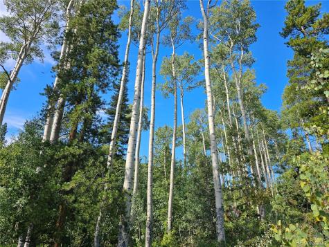 19039 Monarch River Drive Salida CO 81201