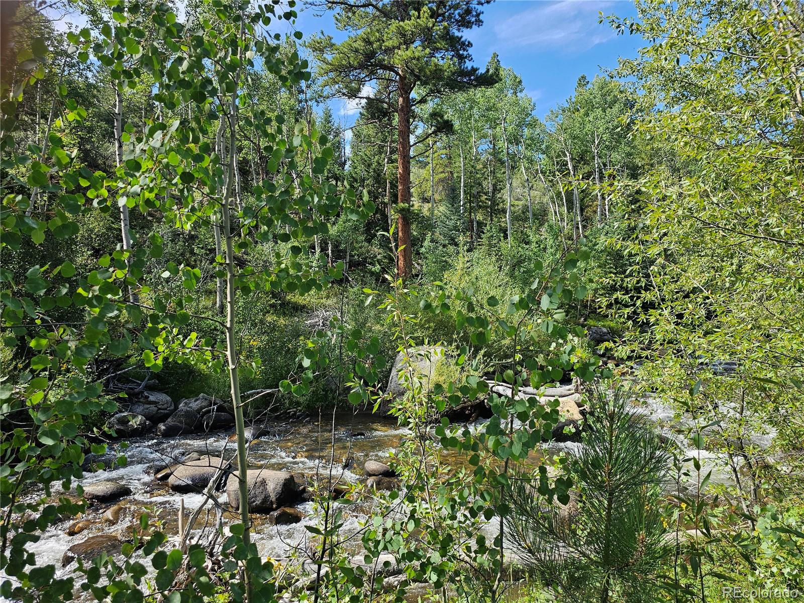 19039 Monarch River Drive Salida CO 81201