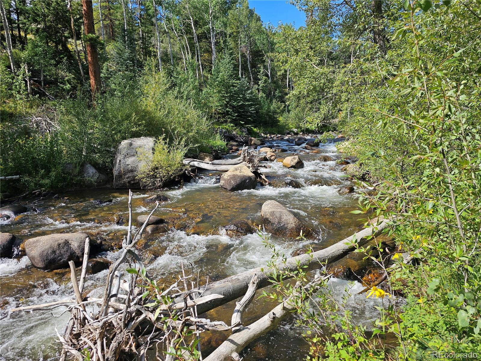 19039 Monarch River Drive Salida CO 81201