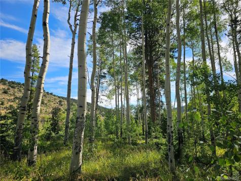 19039 Monarch River Drive Salida CO 81201