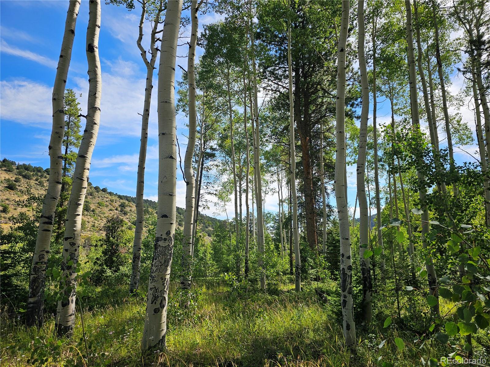 19039 Monarch River Drive Salida CO 81201