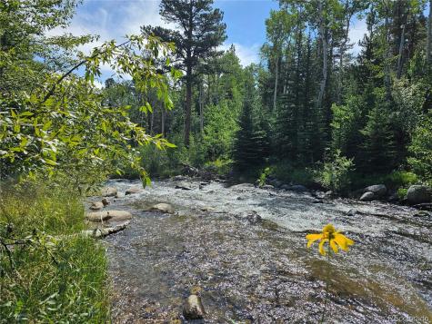 19039 Monarch River Drive Salida CO 81201