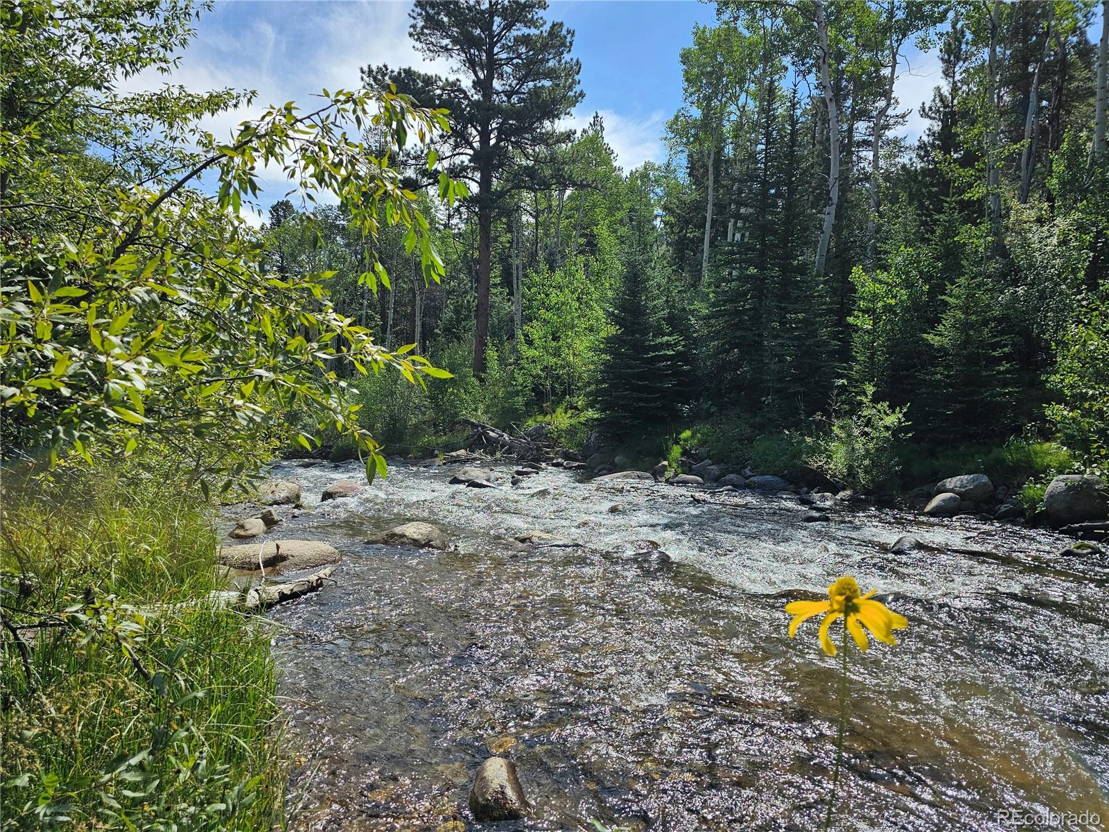 19039 Monarch River Drive Salida CO 81201