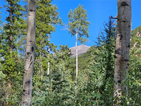 19039 Monarch River Drive Salida CO 81201