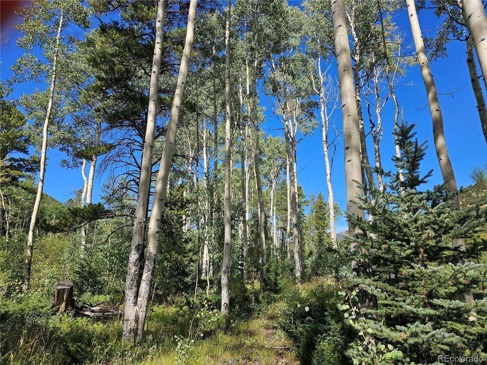 19039 Monarch River Drive Salida CO 81201