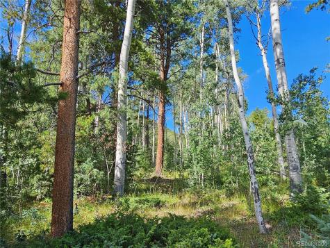 19039 Monarch River Drive Salida CO 81201