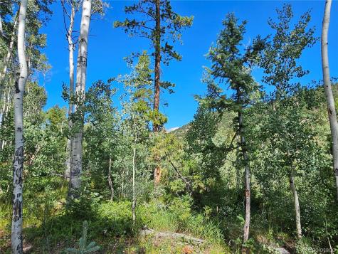 19039 Monarch River Drive Salida CO 81201