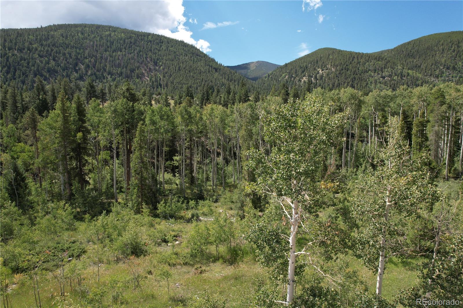 19039 Monarch River Drive Salida CO 81201