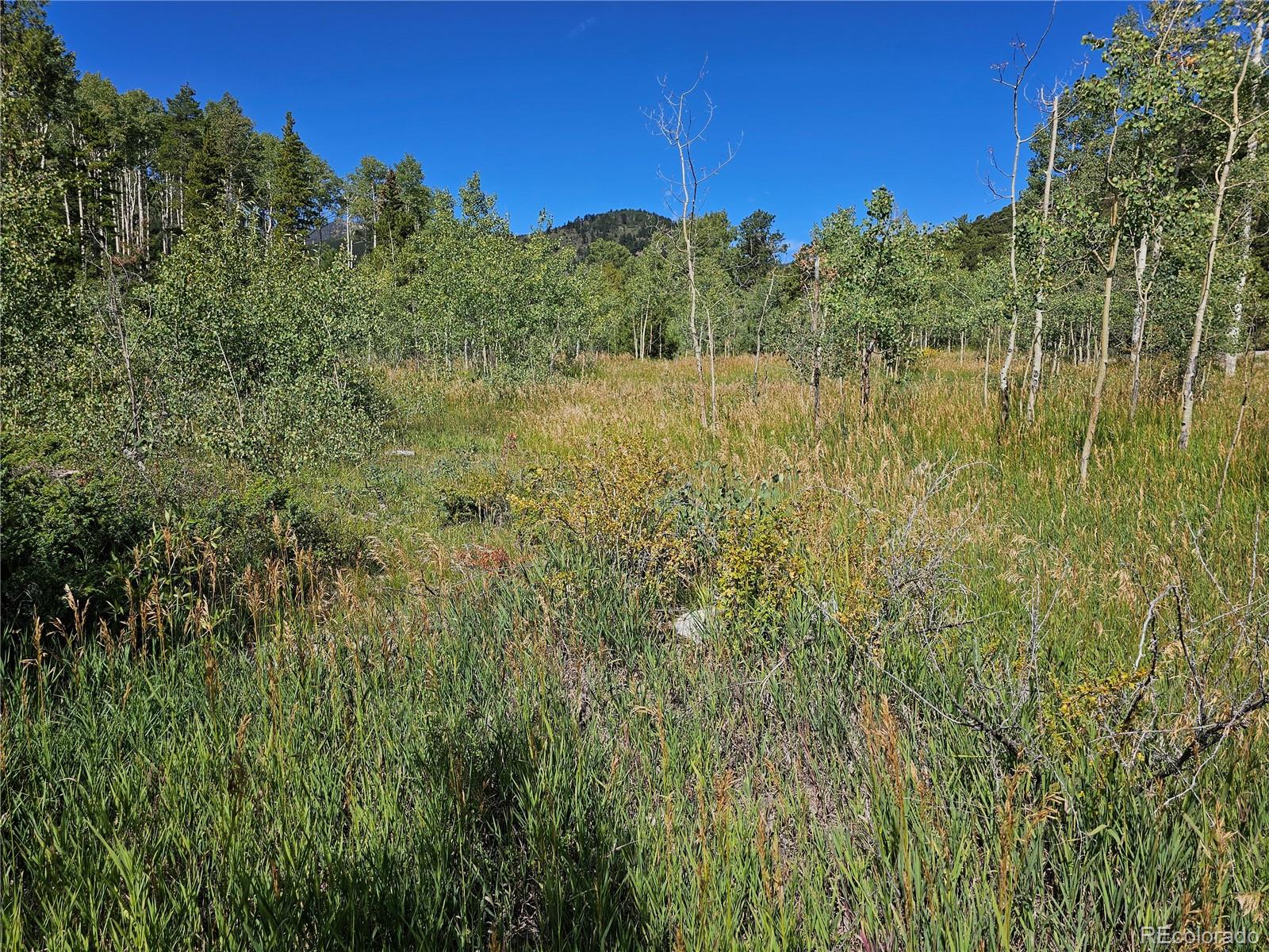 19039 Monarch River Drive Salida CO 81201