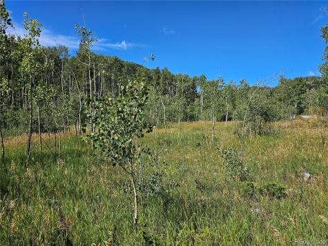 19039 Monarch River Drive Salida CO 81201
