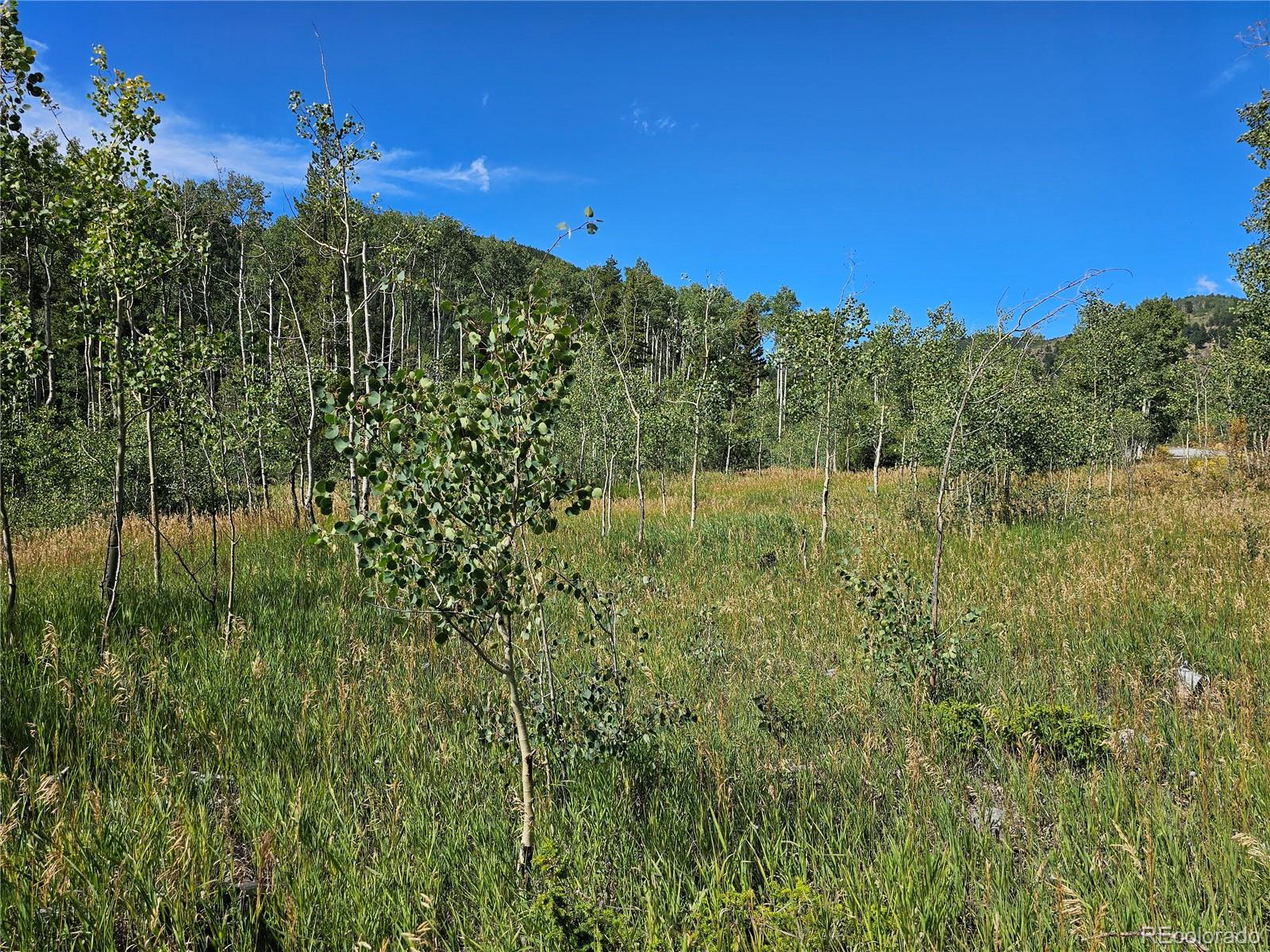 19039 Monarch River Drive Salida CO 81201