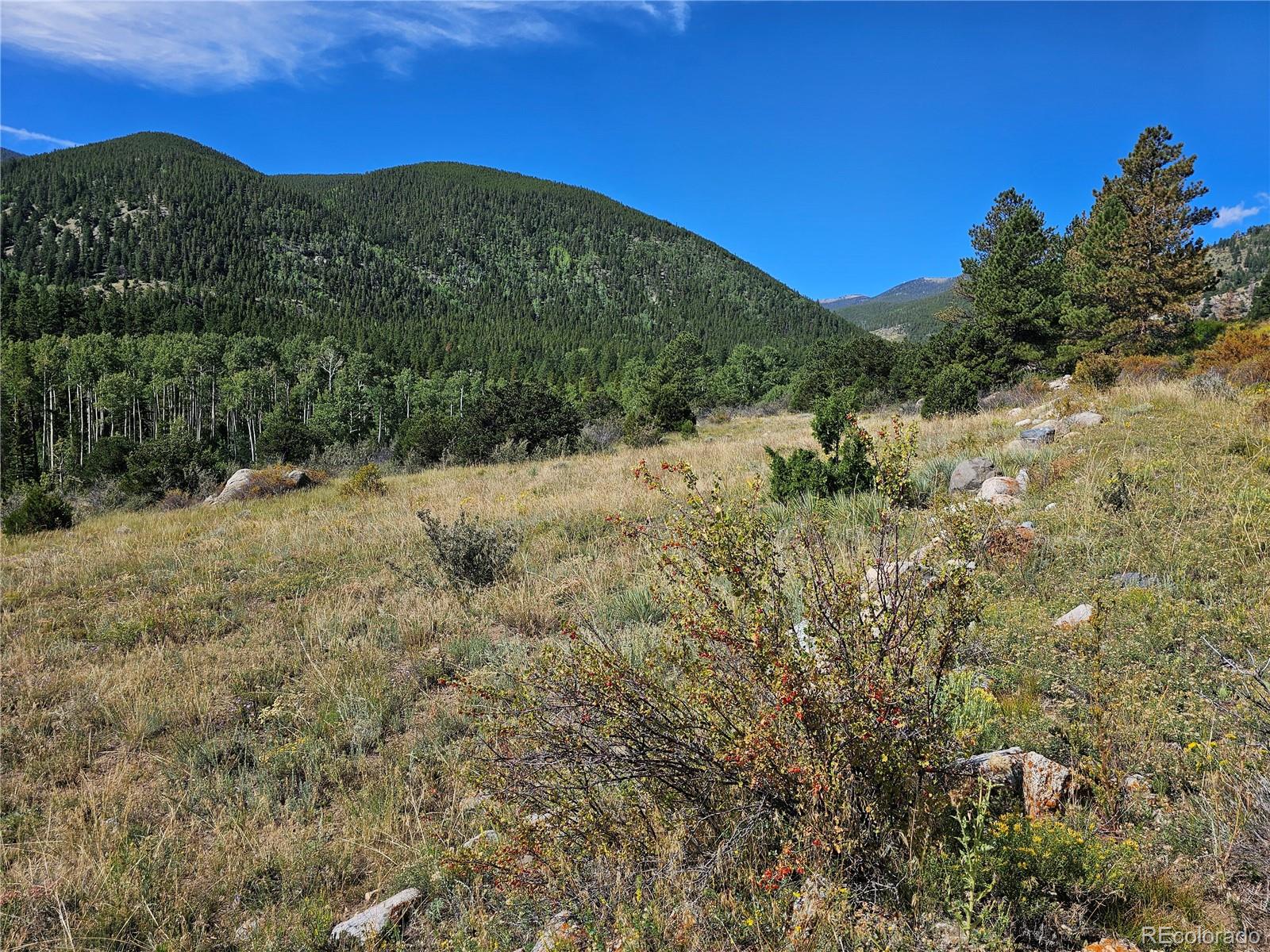 19039 Monarch River Drive Salida CO 81201
