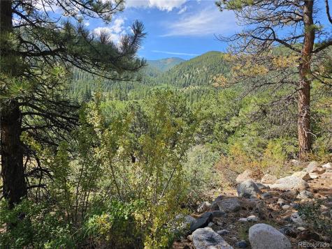19039 Monarch River Drive Salida CO 81201