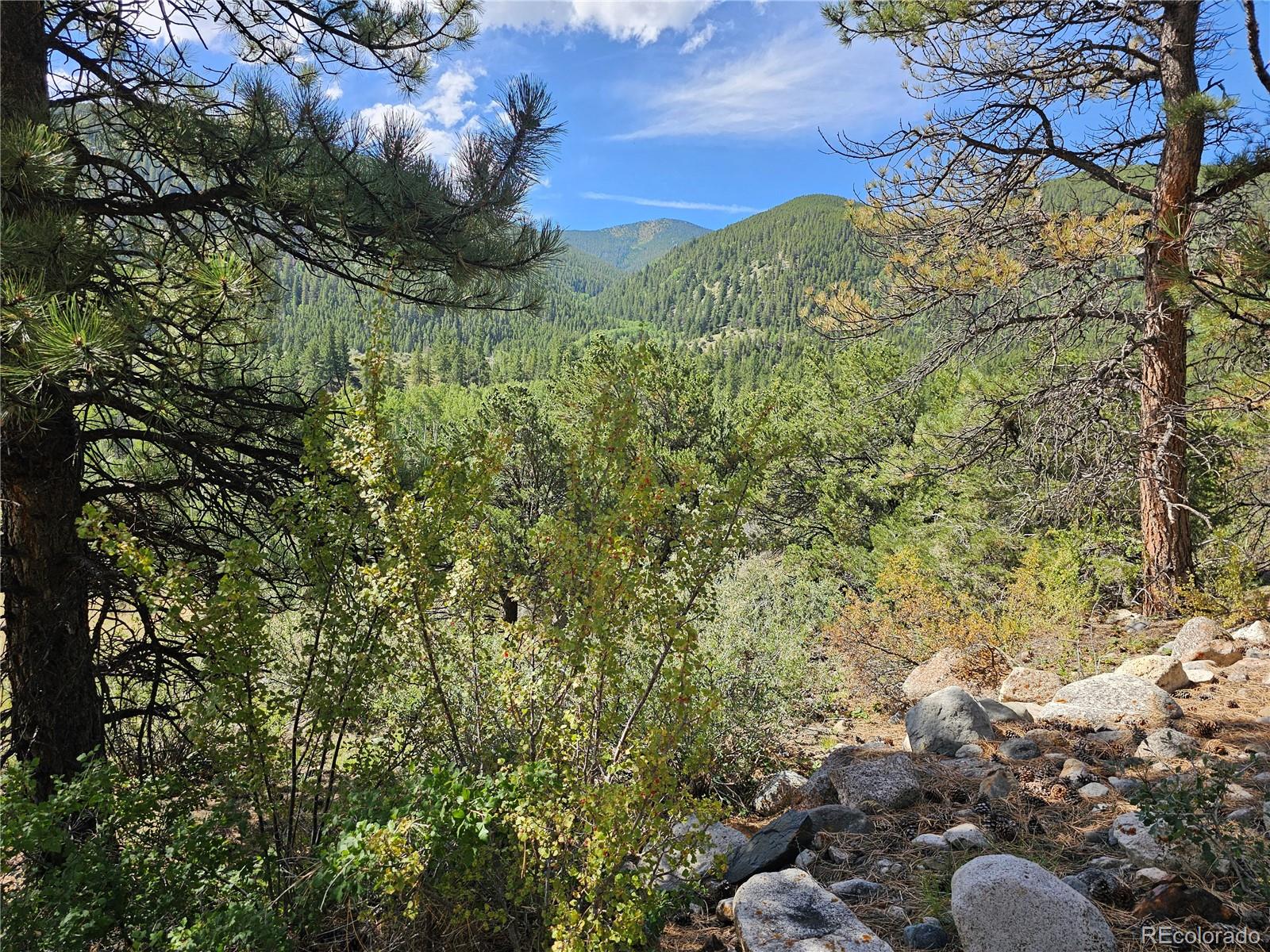 19039 Monarch River Drive Salida CO 81201