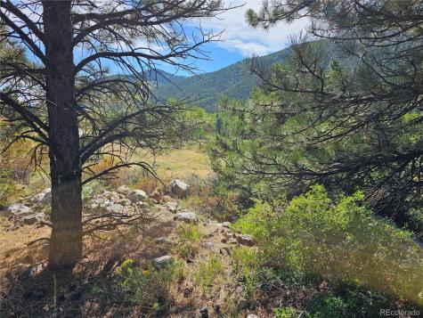 19039 Monarch River Drive Salida CO 81201