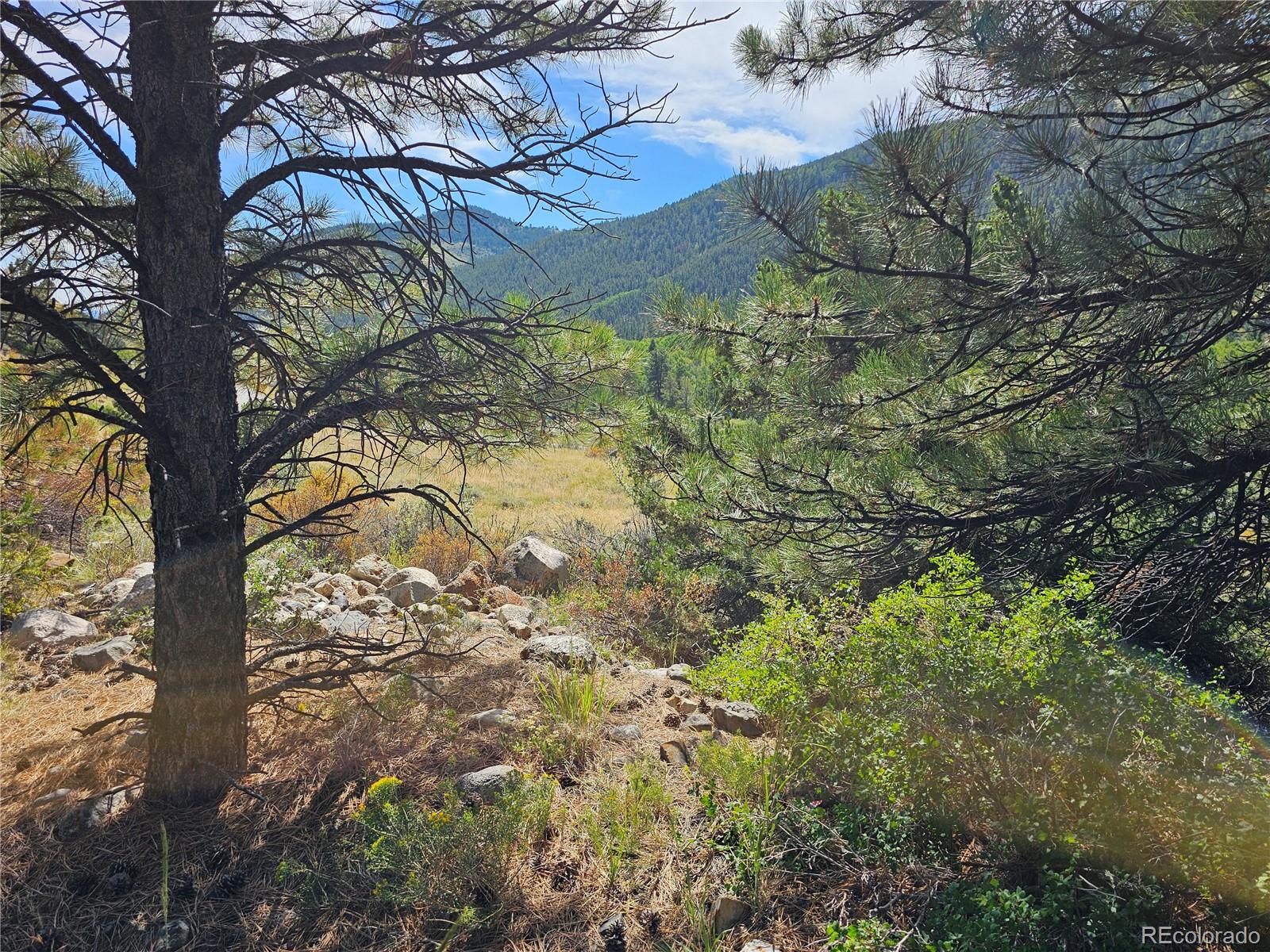 19039 Monarch River Drive Salida CO 81201