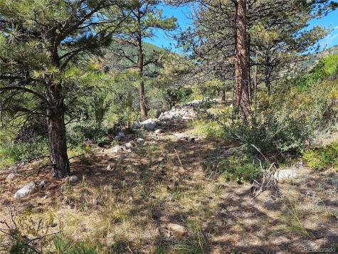 19039 Monarch River Drive Salida CO 81201